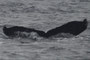 20150321c_Ohama_Sai_G2