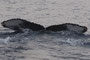 20150215b_Wase_Oki_G2 20150215aと同群 東進