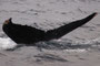 20150222b＝20140203c_Miyakozaki_Oki_G3 北上