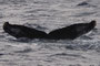 20150130a_Mazaki_Oki_MYC_M 20150130b=YCと同群