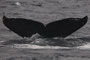 20150224b_Asani_Oki_G2 北上 TS =20150125a=20140327a