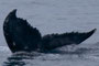 20150202c_YorojimaKita_Ota =20150201a