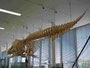 Im Schiffahrtsmuseum Bremerhaven