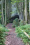 Vogelherdgrotte