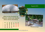 Fotowandkalender Seeligstadt 2023