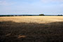 Seeligstadt Heimatverein Panoramatafel