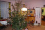 Weihnachtsmarkt Seeligstadt 2013