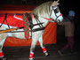 Heimatverein Seeligstadt Weihnachtsmarkt 2005