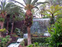 Teneriffa, Puerto de la Cruz