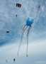 Giant Jellyfish, Körper ca. 4 Meter, insgesamt ca. 18 Meter