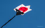 Japanischer Kite: Mikio Toki