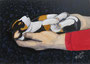Schlafender Welpe,Acryl auf Holzfaserplatte,21x30,2013