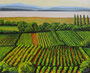 Weingärten am Neusiedlersee,Acryl,40x50,2013 