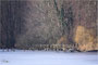Winter - Gemälde