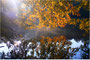 Es wird Herbst