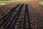 Pit, Hans-Peter, Bernd