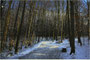 Wintertag