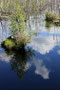 Wolkenspiegel