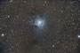 Iris-Nebel (NGC 7023) im Sternbild Kepheus am 08.10.2010, Canon EOS 450Da an Sky-Watcher Mak-Newton 190mm auf Celestron CGEM , F=1000mm, f/5.4, 30x300sec bei ISO 800, Guiding mit Lacerta M-GEN an 9x60mm Sucher