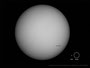 Sonne mit Fleckengruppe AR1049 am 21.02.2010, Canon EOS 450Da an Meade ETX-90 OTA im Primärfokus, Baader Fotografische Sonnenfilterfolie,F=1250mm, f/13.8, 10x1/1000sec, ISO 100