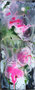 NUAGE ROSE - 50 X 20- Acrylique-glacis aux encres