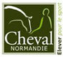 Cheval normandie, élever pour le sport