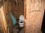 Unico WC sul Sinai