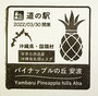 沖縄10　やんばるパイナップルの丘安波