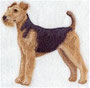 13905 Airedale Terrier