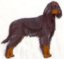 12900 Gordon Setter