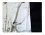 © Schidlo 2009, Fremde Wesen I; Collage, Gouache, Tusche
