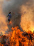 Bild: Hexenfeuer Maibaum Wünschendorf Erzgebirge 2024
