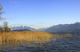 Winter am Obersee? Ja Aufnahme 27.12.2009