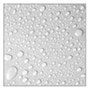 hydrophob