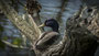 TrockenDuck