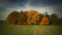 HerbstFeld