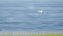 Fischgründe abfliegen