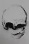 Head , 2021, A1