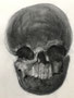 Head , 2021, A1