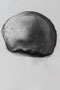 Head , 2021, A1