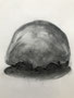 Head , 2021, A1
