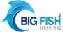 Big Fish Consulting