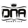 DNA Genetics Femminizzati