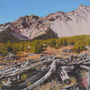 4124_441_wild_oil_mdf_17x17