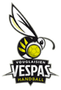 Vespas Handball Vouglaisien