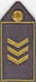 Mossos - Distintiu actual de rang de sotsinspector