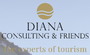 Diana Consulting & Friends