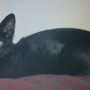 06-2013 Fosca