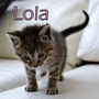 54- LOLA