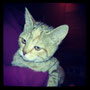 08-2013 Irina